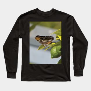 California Sister Butterfly Resting On A Lemon Tree Long Sleeve T-Shirt